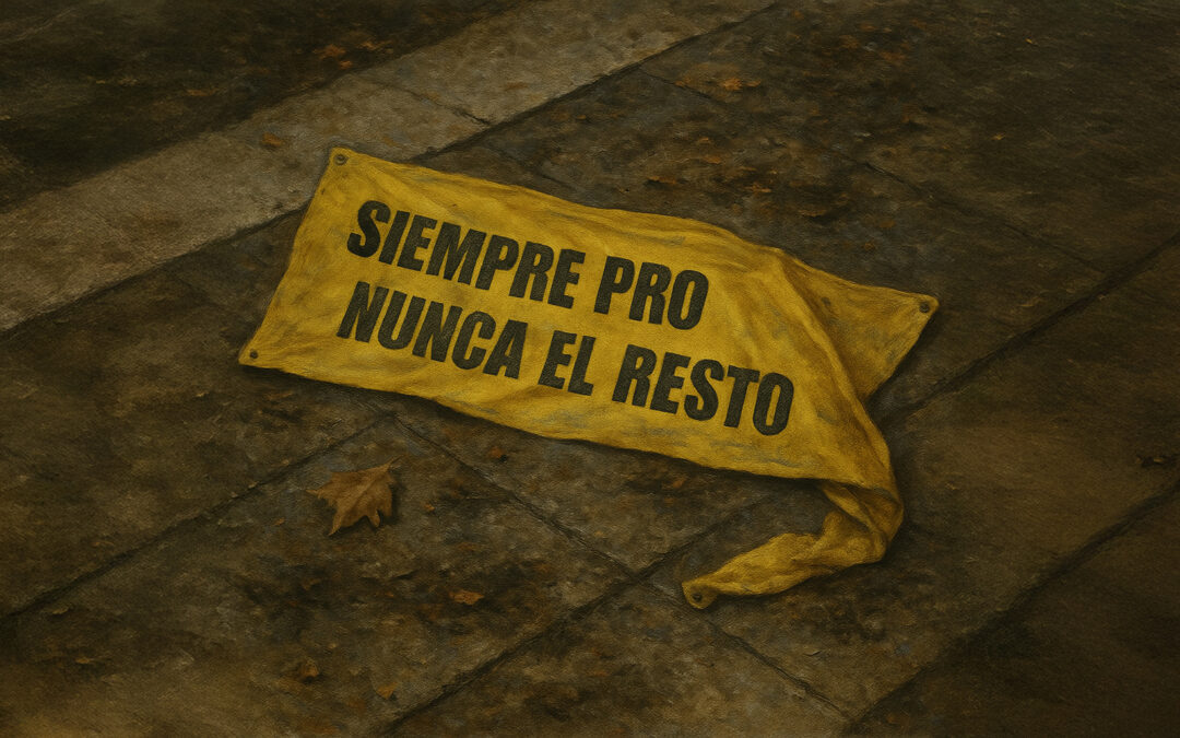 Nadie va a votar tu remera
